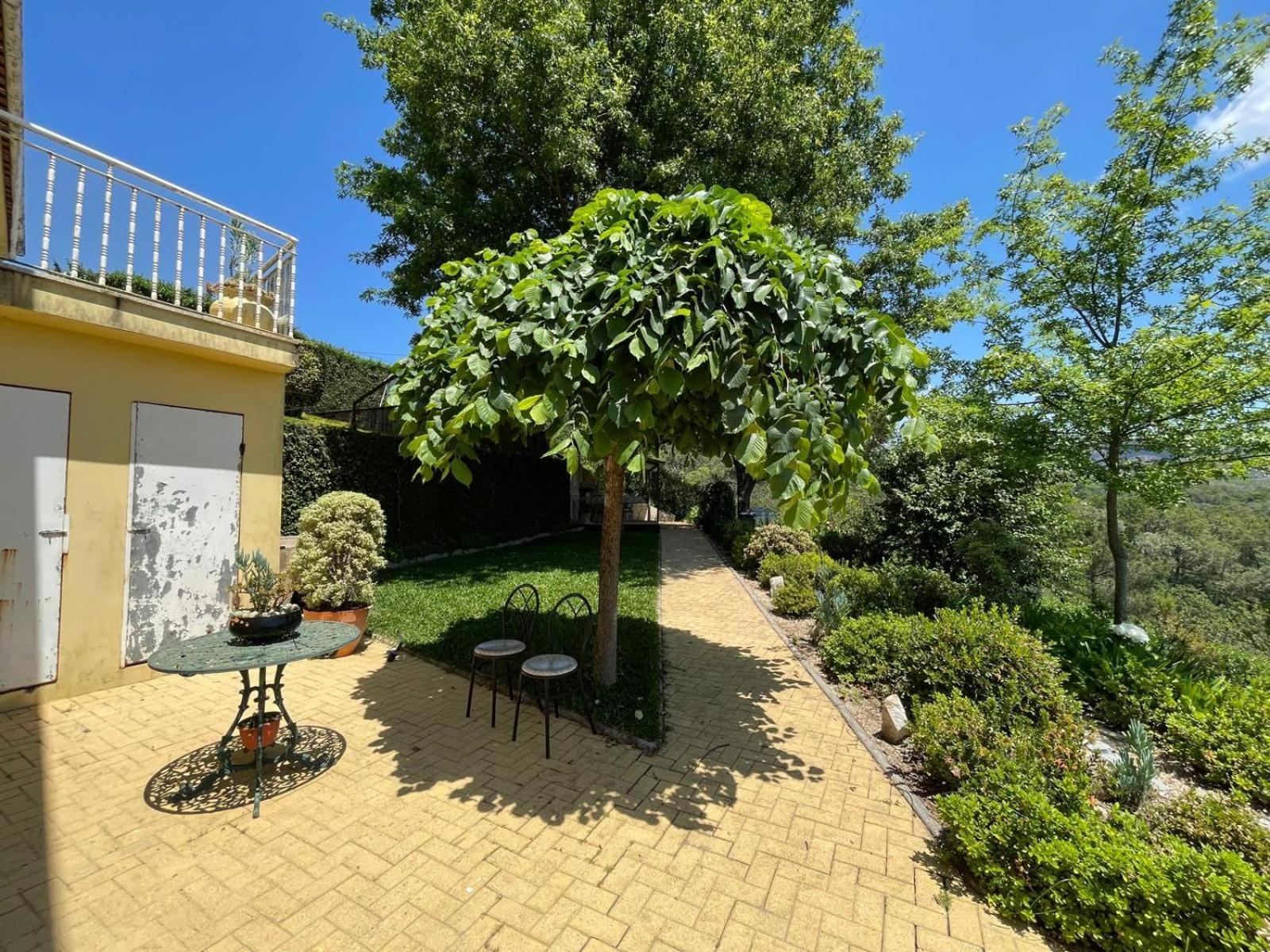 Casa Vai De Roda Terras de Bouro Buitenkant foto